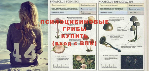 дмт Армянск