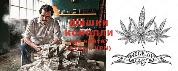 дмт Арсеньев