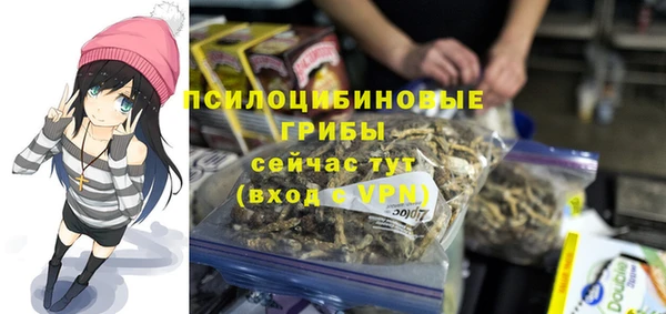 мяу мяу мука Приозерск